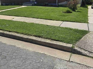 Joan B.'s Lawn Maintenance service result