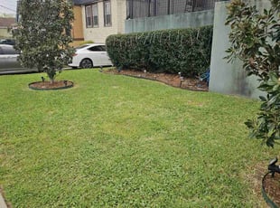 Weeding by Andrew Honeycutt for Jeanette R. in New Orleans, LA