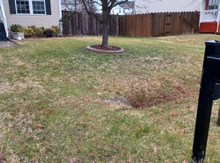 Leaf Removal by Tommy Rhea for Montserrat I. in Chesapeake, VA