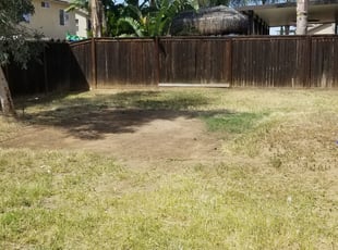Cleanups by Edward Walsh for Erinn S. in Moreno Valley, CA