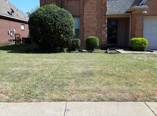 Bush Trimming by Devin Taylor for Renae S. in Olive Branch, MS