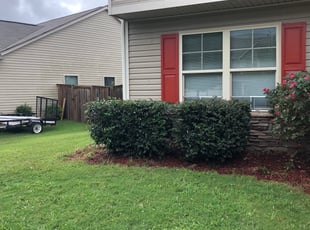 Bush Trimming by Robert Stinson for Valance D. in Winder, GA