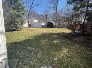 Cleanups by Demetrius Bennett Jr for Valerie T. in Lyndhurst, OH