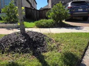 Lawn Treatment by Randy Madden for Sarah M. in Wylie, TX