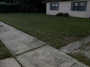 Silvia G.'s Grass Cutting service result