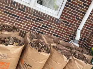 Leaf Removal by Krystal Gottshalk for Marlen H. in Wescosville, PA