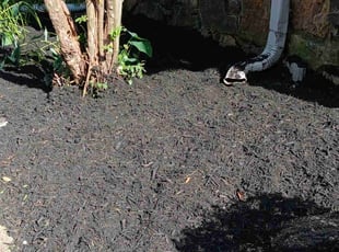 Mulching by Rodney Shenks for Anthony g. in Memphis, TN