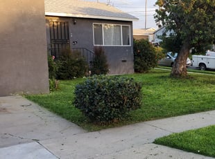 Cleanups by Ian Moreland for Andre Barnes B. in San Diego, CA