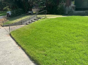 Max P.'s Lawn Mowing Service service result
