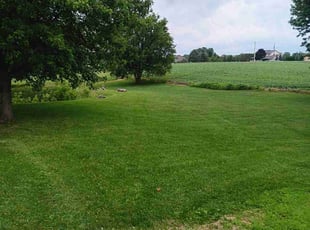 Damon W.'s Lawn Service service result