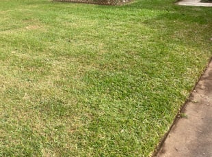 Leaf Removal by Chance Sirey for Devon V. in Spring, TX