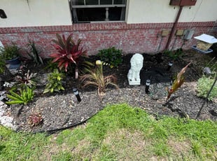 Weeding by Gabriel Detro for Shannon G. in DeLand, FL