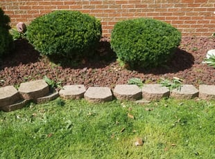 Bush Trimming by Michael Gunnels for Rachel K. in Livonia, MI