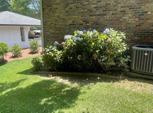Bush Trimming by Daniel Burse for Chelsea M. in Smyrna, GA