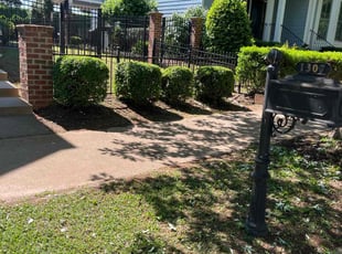 Bush Trimming by L Moore for Lisa S. in Raleigh, NC