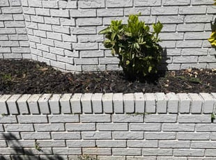 Weeding by Dustin Reece for Jessica L. in Greenville, SC