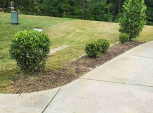 Weeding by Nick Slagle for Queenie L. in Wake Forest, NC