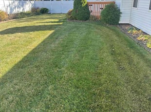 Katy s.'s Lawn Care service result