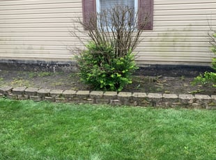 Weeding by Jim Kapcheck for Alex D. in Wheeling, IL