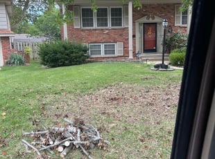 Cleanups by Wiley Halsey for Megan M. in Kansas City, MO