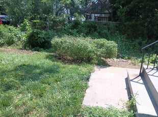 Bush Trimming by Lamonee Jackman for Jared D. in Omaha, NE