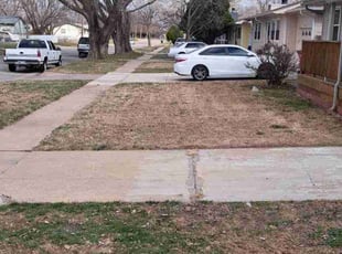 Leaf Removal by William Beacham for Richard F. in Wichita, KS