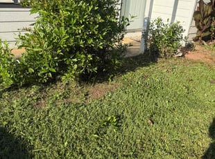 Weeding by Ethan Wright for Justin J. in Acworth, GA