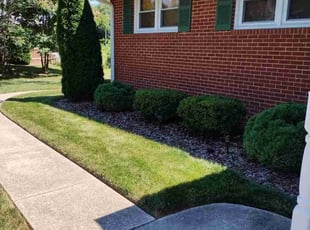 Leah A.'s Lawn Service service result