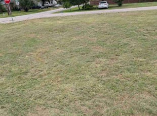 Cleanups by Thomas Rodriguez for Dalton J. in Manchaca, TX