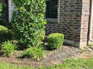 Bush Trimming by James Maceo for Logan F. in Midlothian, TX