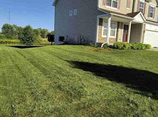 Diane T.'s Lawn Mowing Service service result