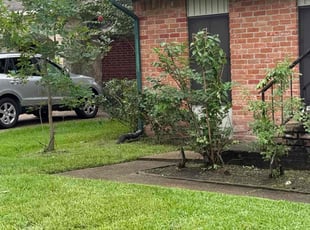 Bush Trimming by Joey Anderson for Travis J. in Humble, TX