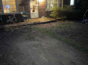 Leaf Removal by Connor Hall for Patrick J. in Black Mountain, NC