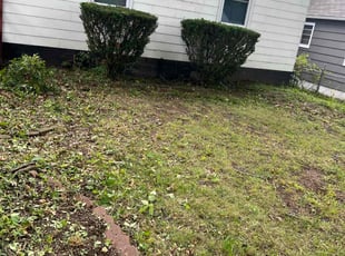 Bush Trimming by Bryant King for Tamara H. in Kansas City, MO