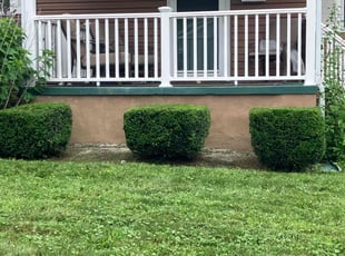Bush Trimming by Rocco Gyetvai for Joe Z. in Scranton, PA