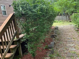 Landscaping by Maurice Pride for Zaasia D. in Maumelle, AR