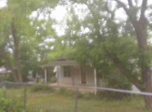 Bush Trimming by Shaquille Davis for Cindy a. in Greenville, SC