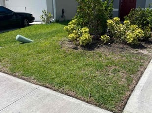Weeding by Jorge Aguirre for Zachery W. in Sanford, FL