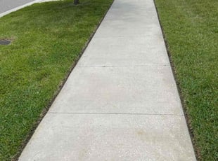 Weeding by Johnny Torres for Fei M. in Riverview, fl