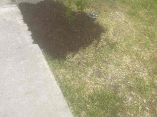 Cleanups by Sharonda Sanford for Blaque L. in Katy, TX