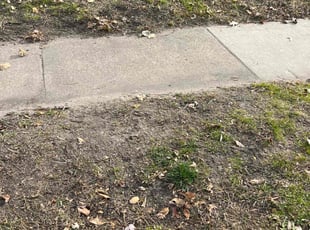 Leaf Removal by Santos Blanco for LaToya M. in Minneapolis, MN