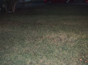 Leaf Removal by Jt Sallee for Aaron Z. in Deerfield Township, OH