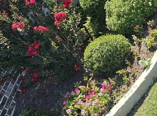 Bush Trimming by Raul Lara Romero for Joseph G. in Rockwall, TX