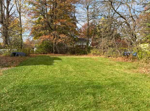 Dan F.'s Lawn Maintenance service result
