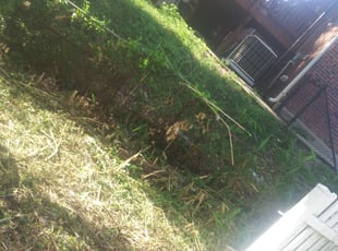 Cleanups by Jessica Porter for Darnise G. in Capitol Heights, MD