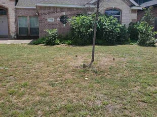 Bush Trimming by Derrel Laird for Peter L. in Fort Worth, TX