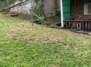 Weeding by Marvin Crawley for Gbemisola O. in Pittsburgh, PA