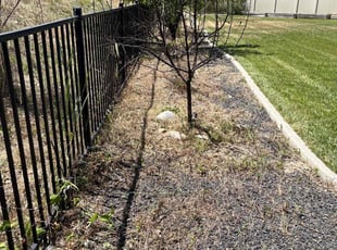 Cleanups by Tim Root for Qasim H. in Eagle, ID
