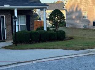 Kyle K.'s Lawn Care service result