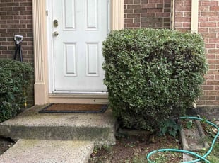 Bush Trimming by Jahed Art for Alex S. in Annandale, VA